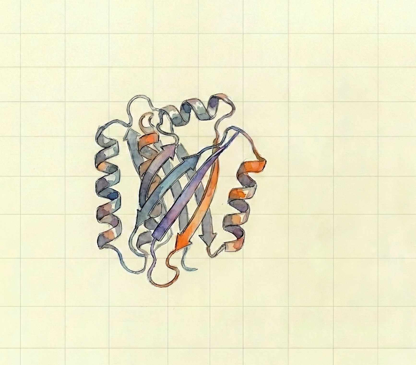 Protein Design RL